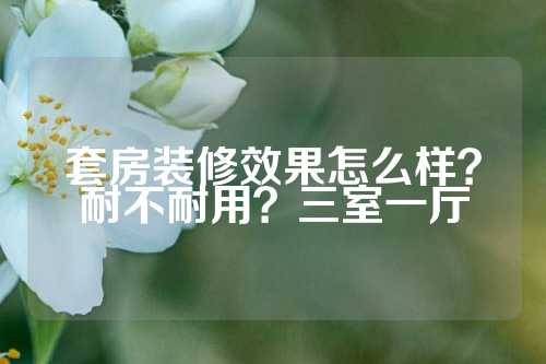 套房装修效果怎么样？耐不耐用？三室一厅