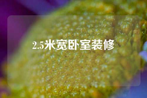 2.5米宽卧室装修