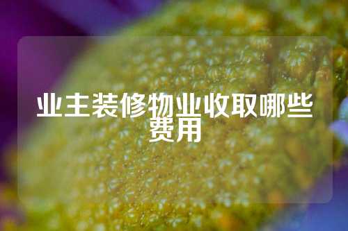 业主装修物业收取哪些费用
