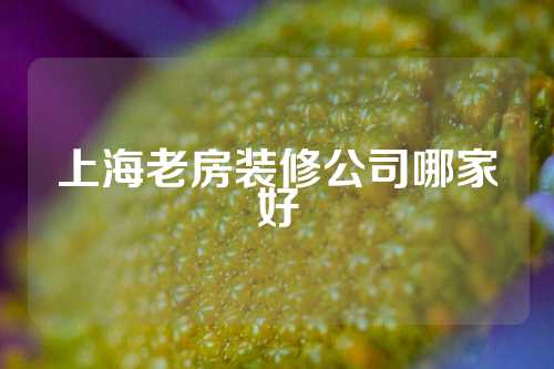 上海老房装修公司哪家好