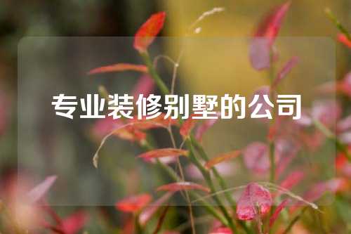 专业装修别墅的公司