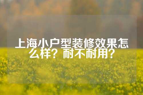 上海小户型装修效果怎么样？耐不耐用？