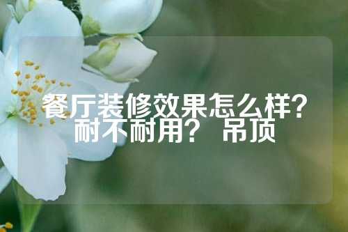 餐厅装修效果怎么样？耐不耐用？ 吊顶