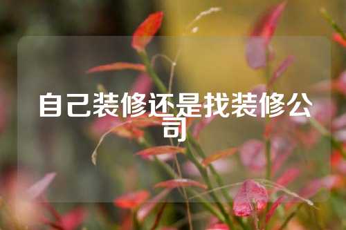 自己装修还是找装修公司