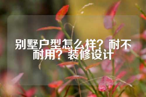 别墅户型怎么样？耐不耐用？装修设计