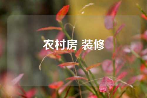 农村房 装修