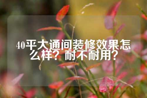 40平大通间装修效果怎么样?耐不耐用?