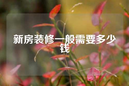 新房装修一般需要多少钱