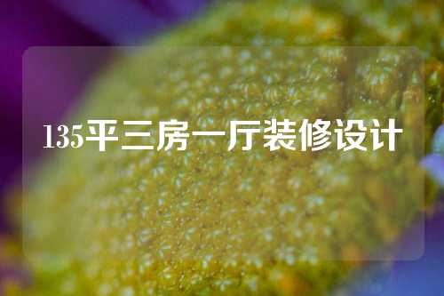 135平三房一厅装修设计