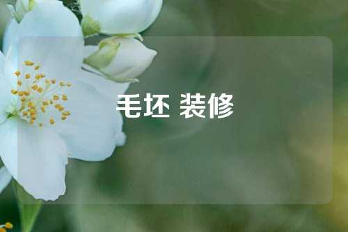 毛坯 装修