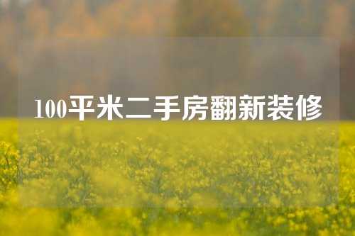 100平米二手房翻新装修
