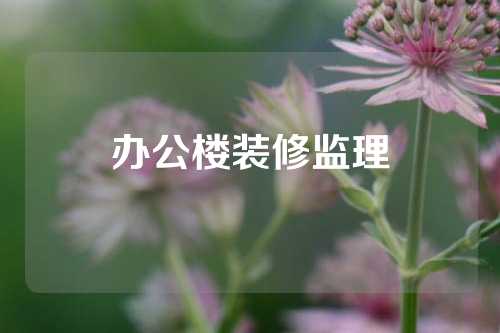 办公楼装修监理
