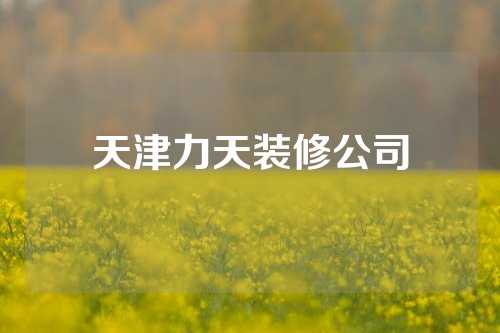 天津力天装修公司