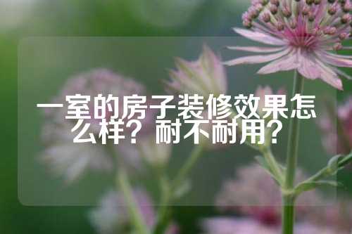 一室的房子装修效果怎么样？耐不耐用？