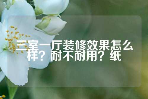三室一厅装修效果怎么样？耐不耐用？纸