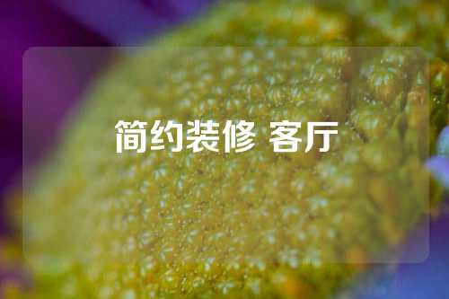 简约装修 客厅