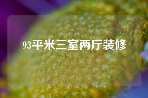 93平米三室两厅装修