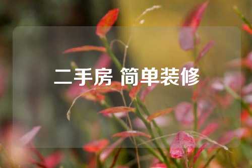 二手房 简单装修
