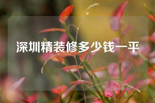 深圳精装修多少钱一平