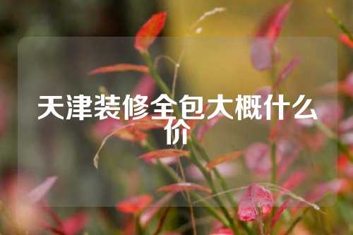 天津装修全包大概什么价
