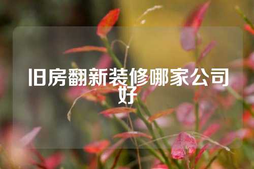 旧房翻新装修哪家公司好