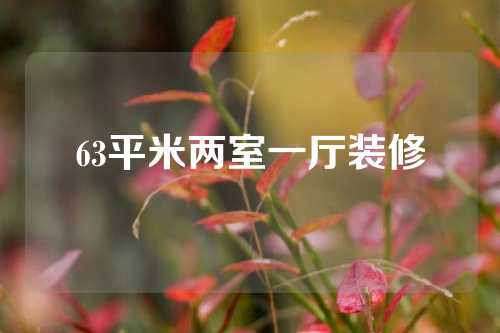 63平米两室一厅装修