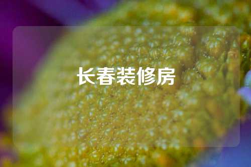 长春装修房