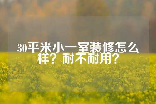 30平米小一室装修怎么样?耐不耐用?